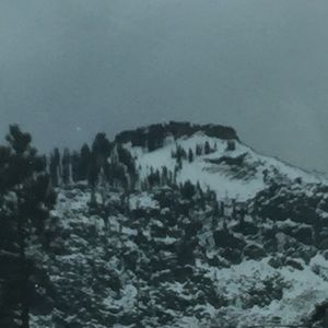 Meet your Posher, Julio